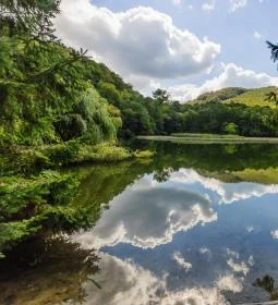 Felső-tó, Sipovics tengerszem