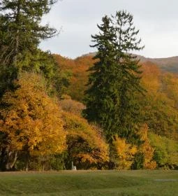 19. legjobb látnivaló: Gloriett-tisztás