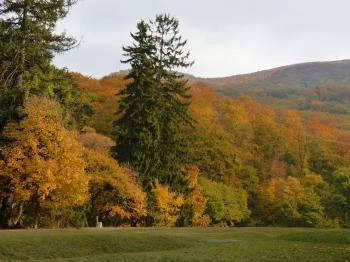 Gloriett-tisztás Szilvásvárad