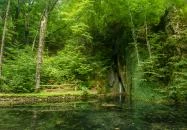 Szikla-forrás Szilvásvárad