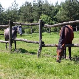 Teleki-Degenfeld Kastélyszálló Szirák - 