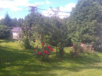 Őzike Vendégház Szőce