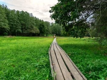 Szőcei tőzegmohás láprét Szőce