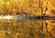 Szokolya - Királyrét