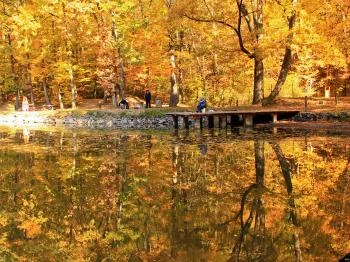 Királyrét Szokolya