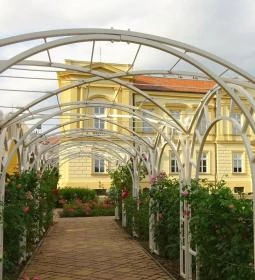 Rozárium - Magyar rózsák kertje