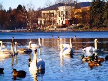 Tóvendéglő Szombathely