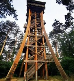 Sörházdombi Kilátó