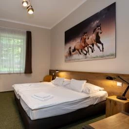 Garda Hotel Szombathely - Szobák