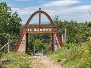 Kaptárkő tanösvény Szomolya