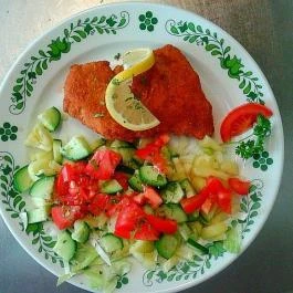 Garden Panzió Tahitótfalu - Egyéb