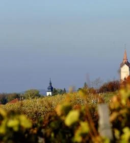 Oroszlános Borhotel