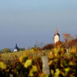 Oroszlános Borhotel Tállya - Egyéb