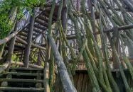 Tamási - Vas kilátó