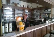 Györgyey Kastély Étterem & Panzió Tápiógyörgye