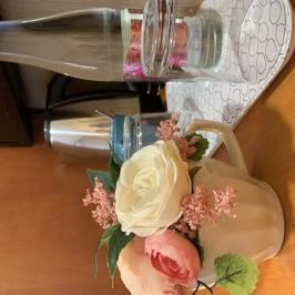 Termál Hotel Vesta Tápiószecső - Szobák