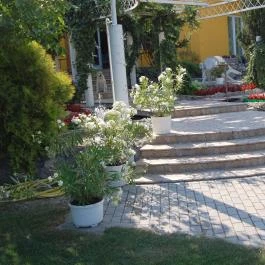 Judit Panzió Tapolca-Gyulakeszi - Külső kép