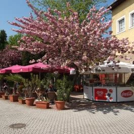 Tópart Bisztró Tapolca - Egyéb