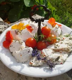 Malom-tó Vendégház