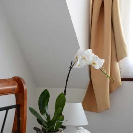 Malom-tó Vendégház Tapolca - Szobák