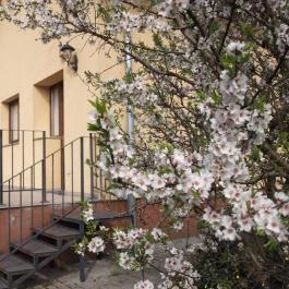 Malom-tó Vendégház Tapolca - Külső kép