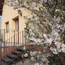 Malom-tó Vendégház Tapolca - Medence/kert