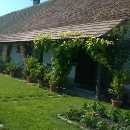 Véndek Tanya Tapolca - Egyéb