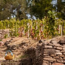 Andrássy Rezidencia Wine & Spa Tarcal - Szórakozás/Sport