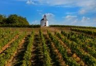 Tarcal - Szent Teréz-kápolna