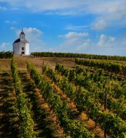 Szent Teréz-kápolna