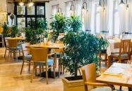 Öreg Halász Étterem és Fogadó Tát