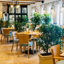 Öreg Halász Étterem és Fogadó Tát - Vendéglátás