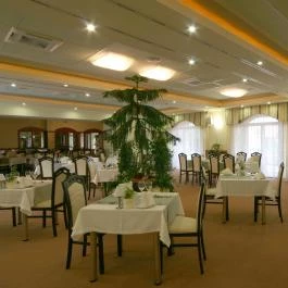 Hotel Kiss - Borostyán Étterem Tata - Egyéb