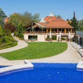 Hotel Gottwald Tata - Medence/kert