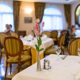 Hotel Gottwald Tata - Vendéglátás