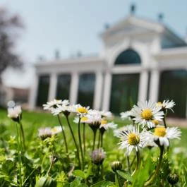 Kristály Imperial Hotel Tata - Egyéb