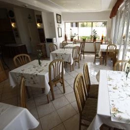 Parti Panzió Tata - Vendéglátás