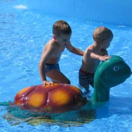 Tatai Fényes Fürdő & Kemping Tata - Medence/kert