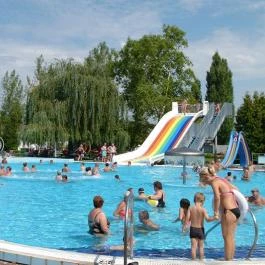 Tatai Fényes Fürdő & Kemping Tata - Medence/kert