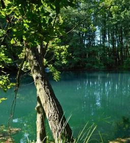 1. legjobb látnivaló: Tatai Fényes tanösvény