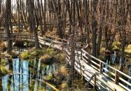 Tatai Fényes tanösvény Tata