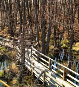 Tatai Fényes tanösvény