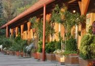 Vadvirág Vendéglő Tatabánya