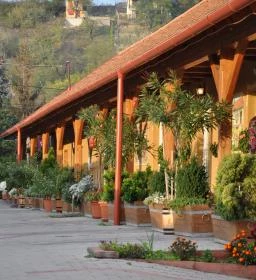 Vadvirág Vendéglő