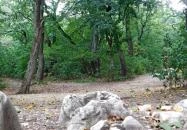 Tatabánya - Kő-hegy