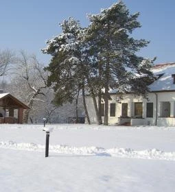 Sarlóspuszta Club Hotel étterme