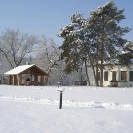 Sarlóspuszta Club Hotel étterme Tatárszentgyörgy - Egyéb