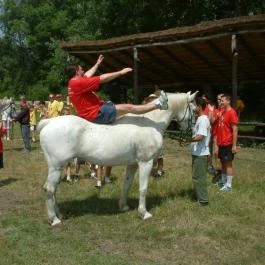 Sarlóspuszta Club Hotel Tatárszentgyörgy - Egyéb