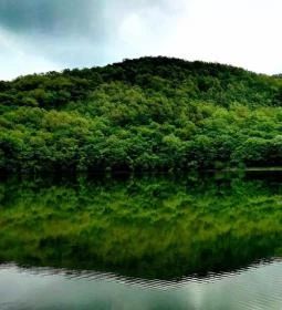 Szalamandra tanösvény