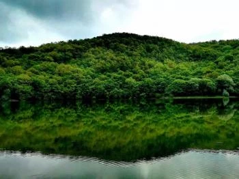 Szalamandra tanösvény Telekgerendás